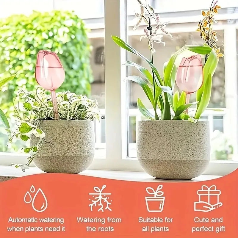 Pink Tulip Plant Self-Watering Balls