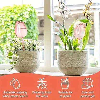 Pink Tulip Plant Self-Watering Balls