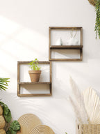 Framed Wall Mounted Plant Shelf