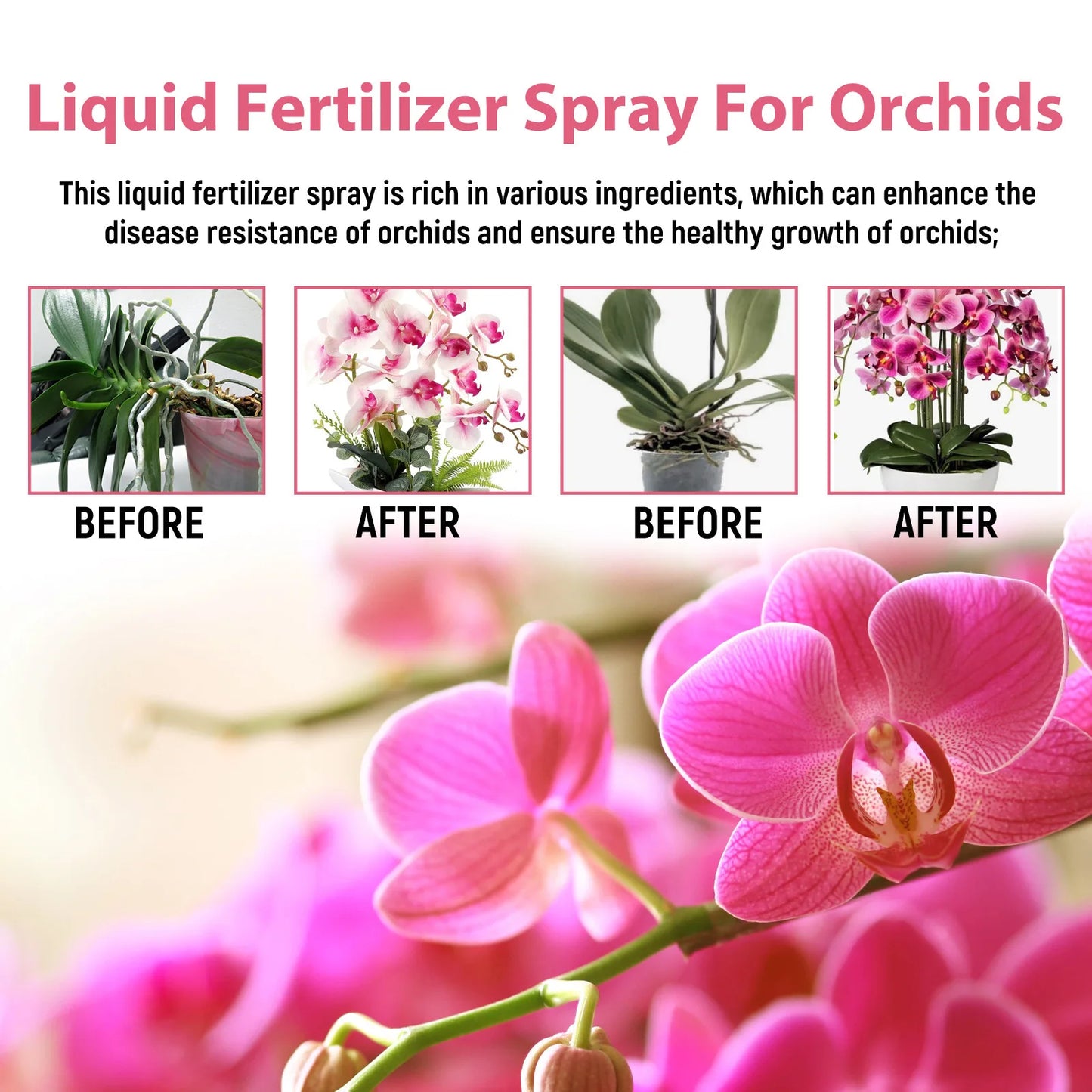 MoonSpry Orchid Bloom Booster