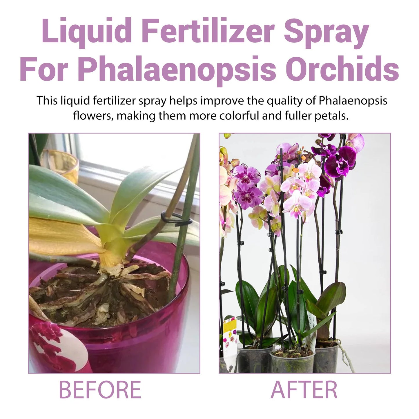MoonSpry Orchid Bloom Booster