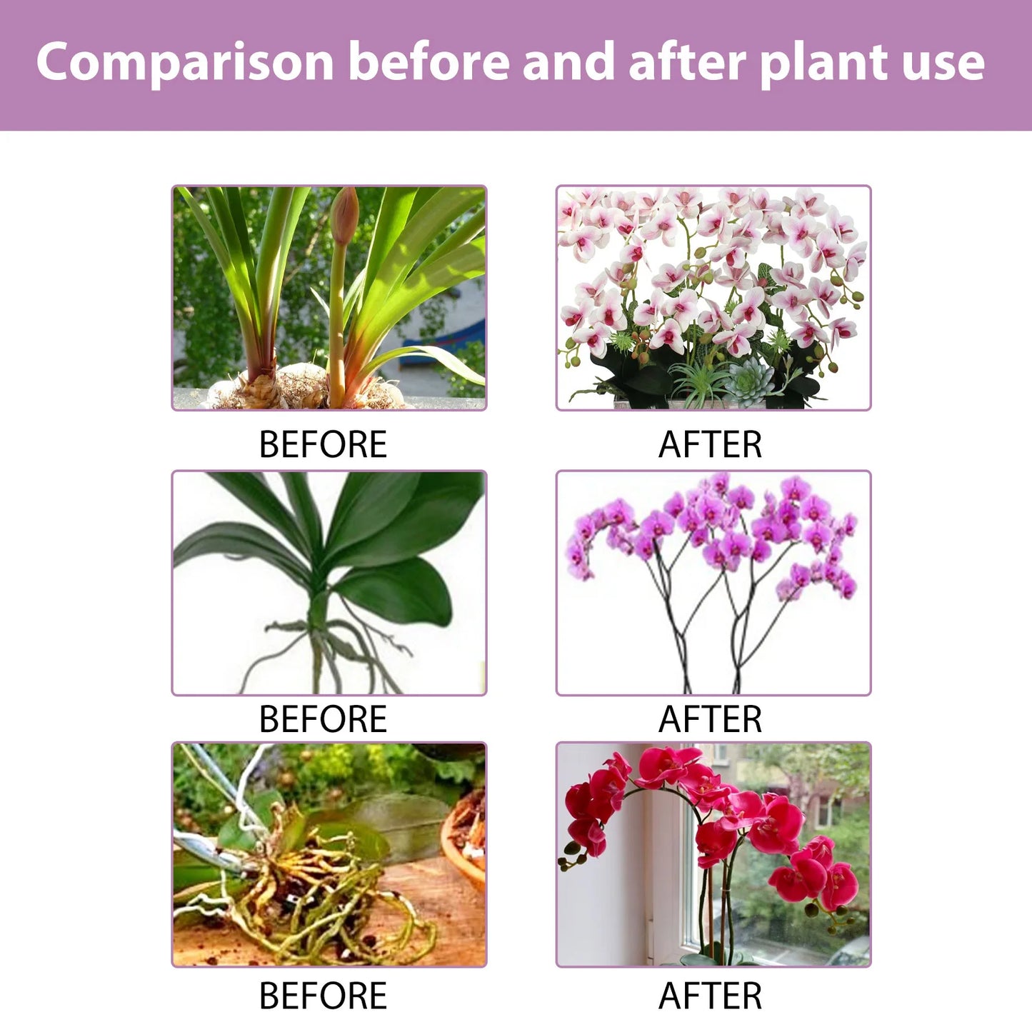 MoonSpry Orchid Bloom Booster