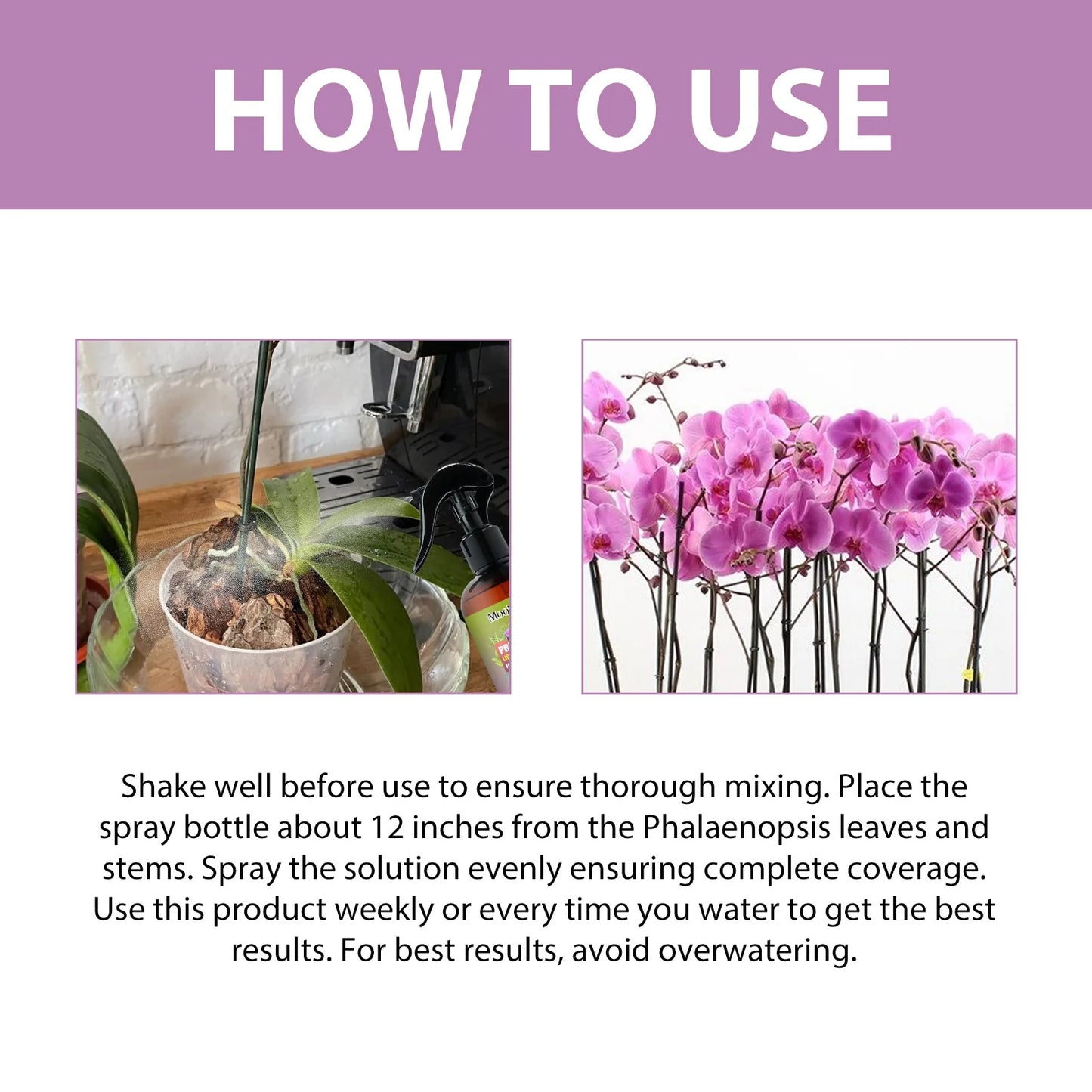 MoonSpry Orchid Bloom Booster