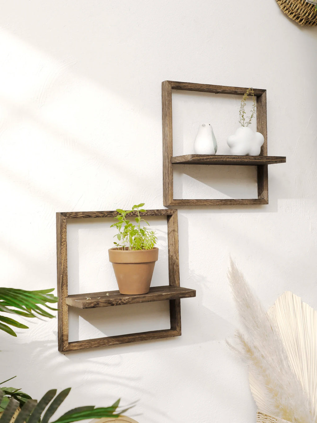 Framed Wall Mounted Plant Shelf