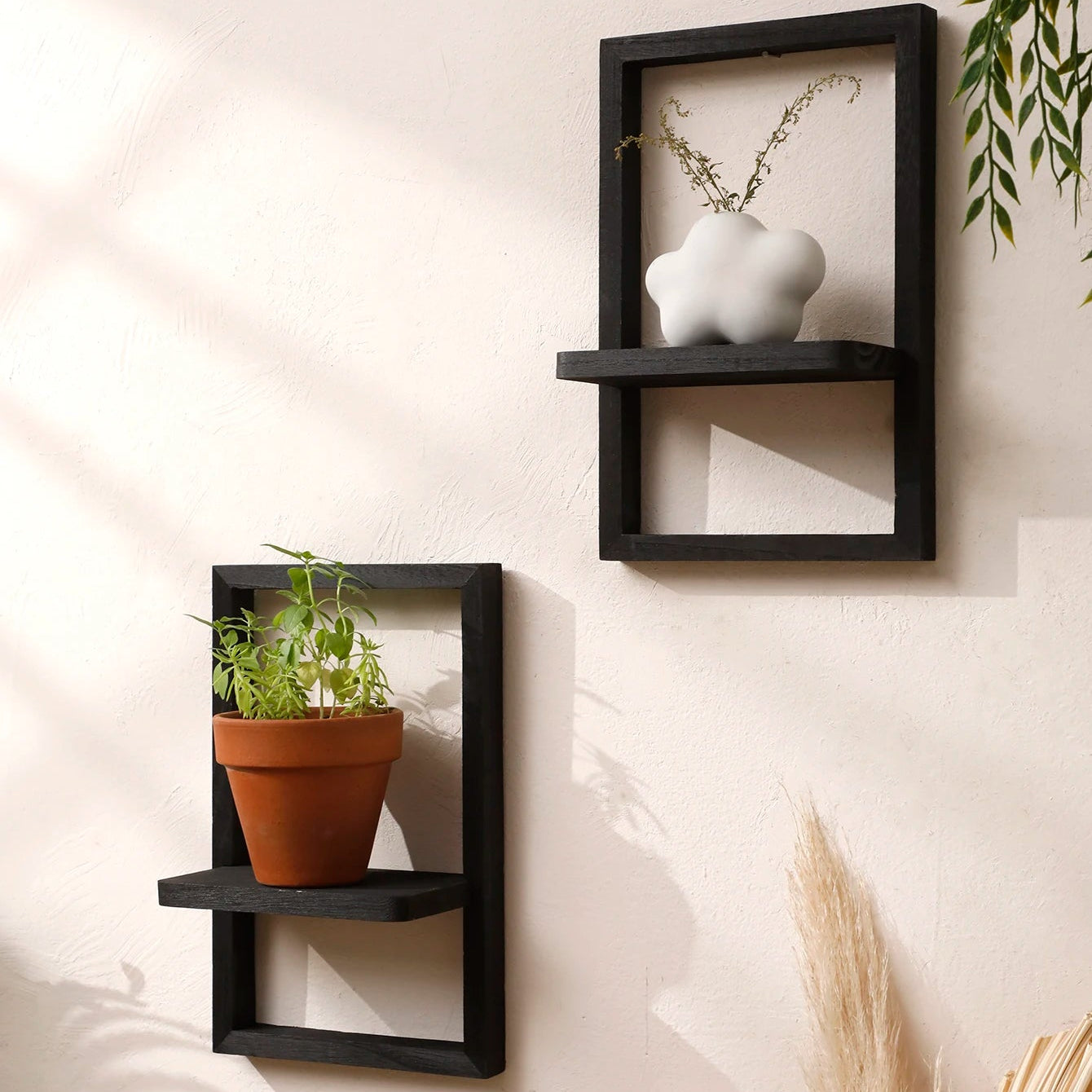 Framed Wall Mounted Plant Shelf
