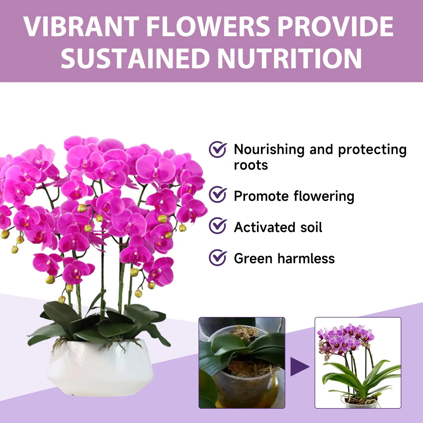 MoonSpry Orchid Bloom Booster