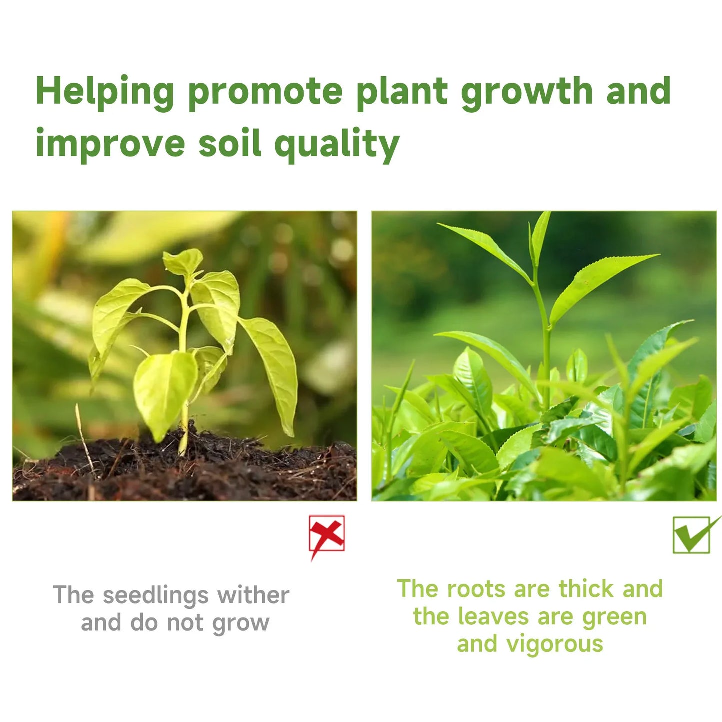 Plant Growth Booster & Nutrient Spray
