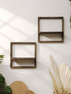 Framed Wall Mounted Plant Shelf