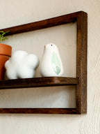 Framed Wall Mounted Plant Shelf