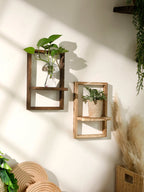 Framed Wall Mounted Plant Shelf