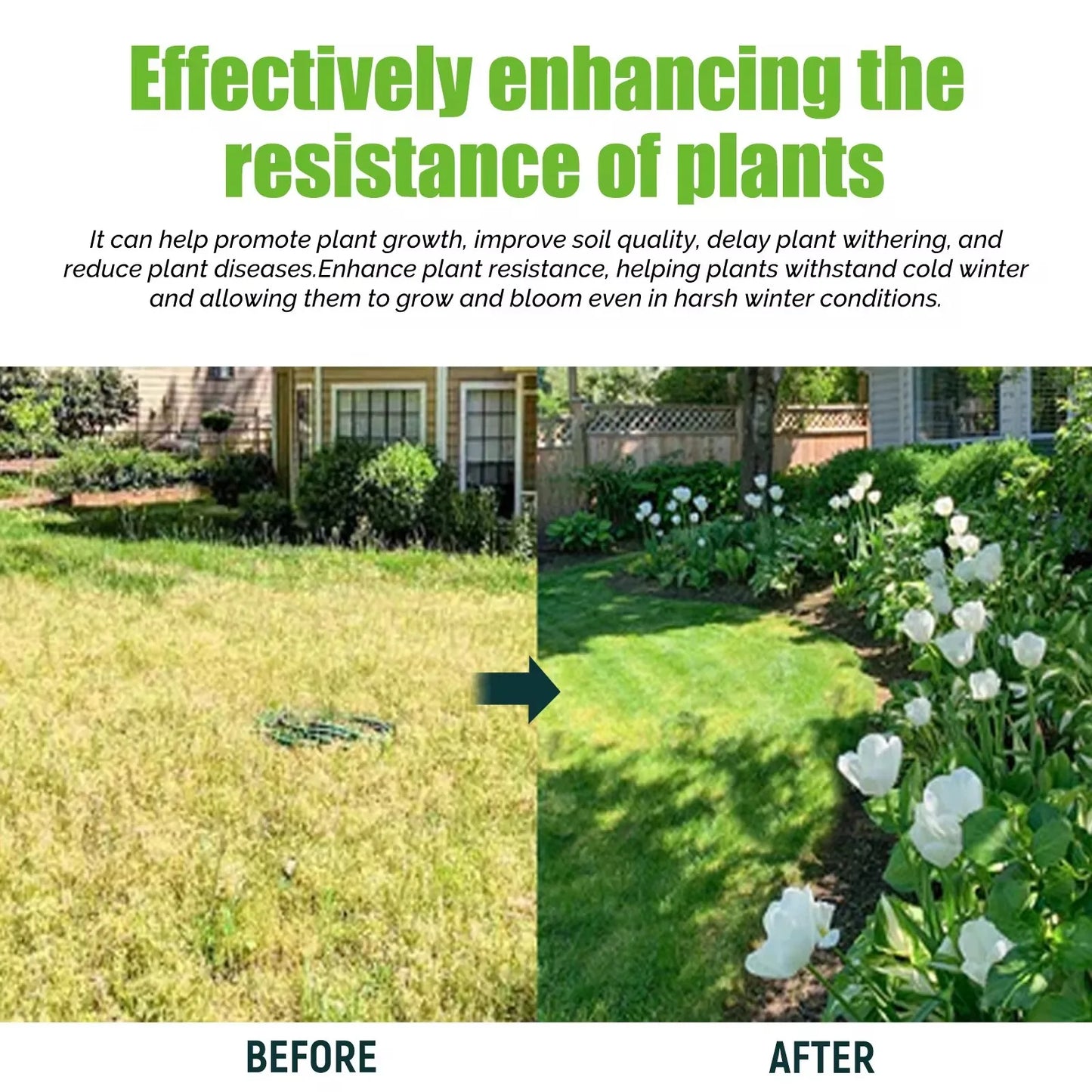 Plant Growth Booster & Nutrient Spray