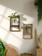 Framed Wall Mounted Plant Shelf
