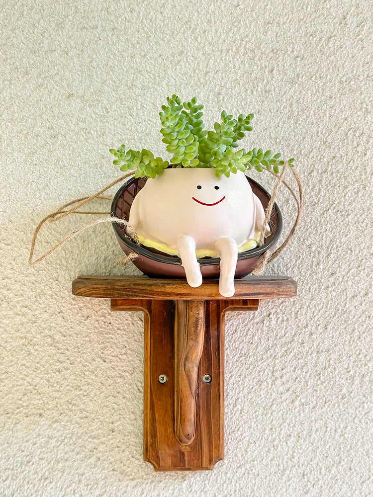 Smiley Face Swing Hammock Hanging Planter