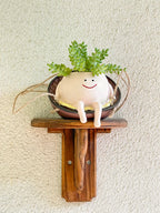 Smiley Face Swing Hammock Hanging Planter