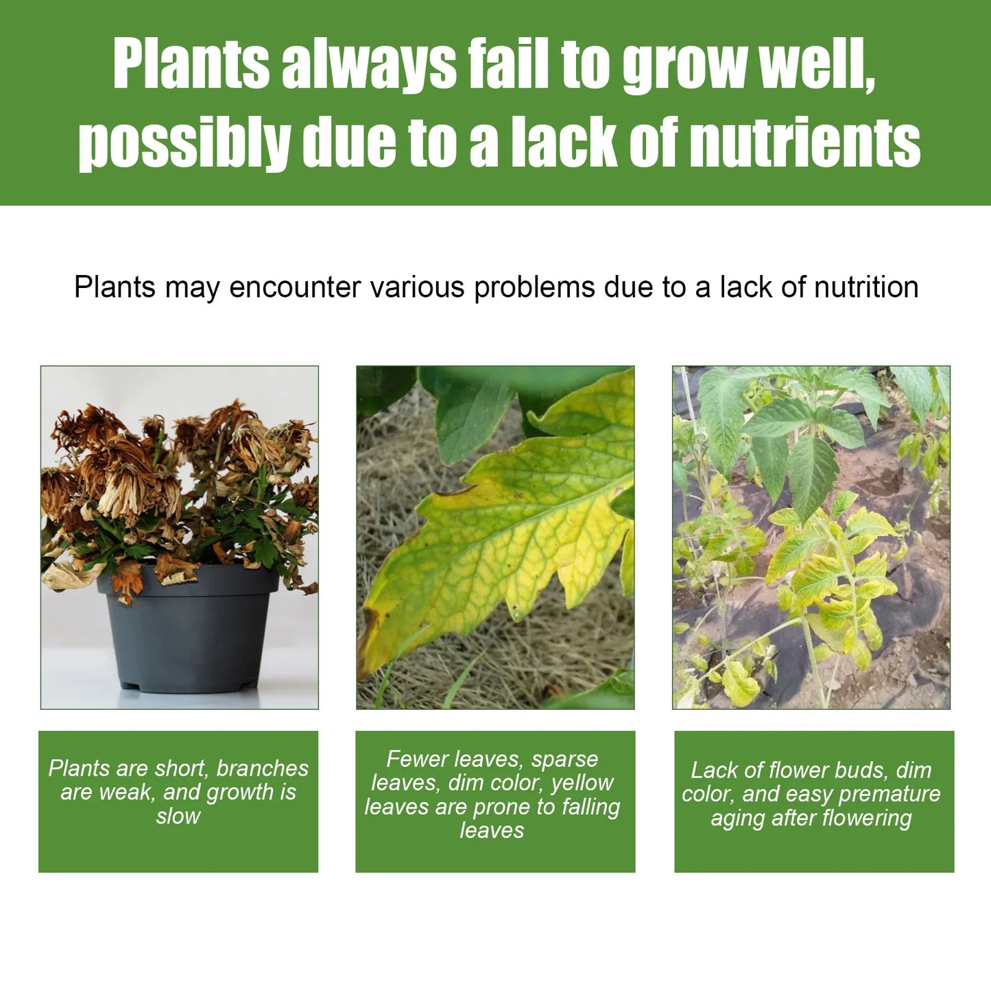 Plant Growth Booster & Nutrient Spray