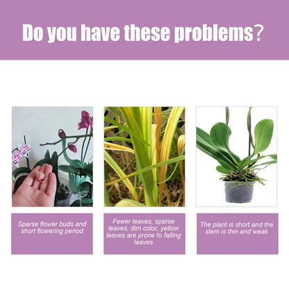 MoonSpry Orchid Bloom Booster