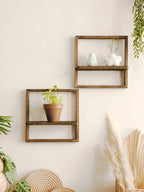 Framed Wall Mounted Plant Shelf